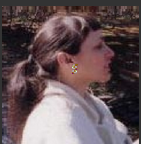 nancy berkan, clinician therapy for sandtray